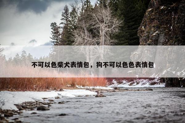 不可以色柴犬表情包，狗不可以色色表情包