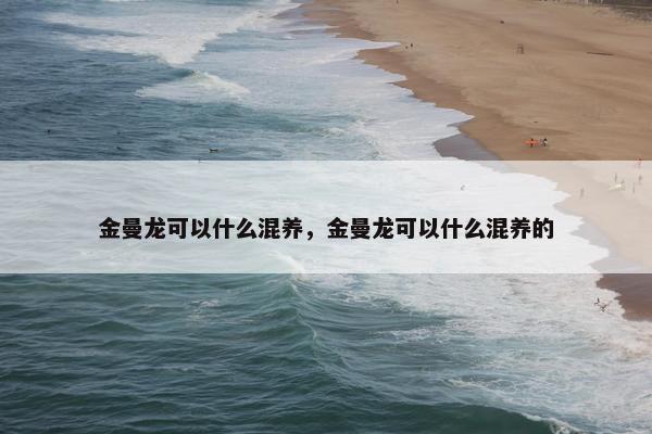 金曼龙可以什么混养，金曼龙可以什么混养的