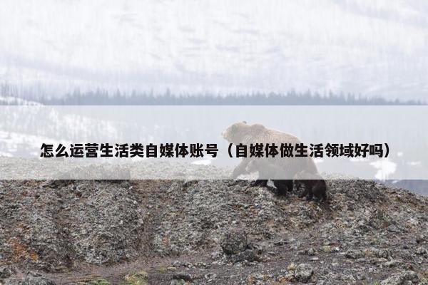 怎么运营生活类自媒体账号（自媒体做生活领域好吗）