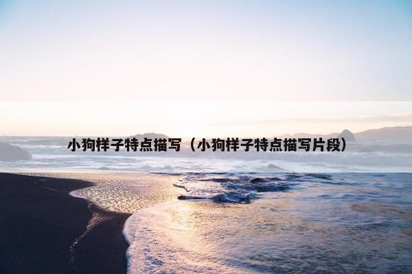 小狗样子特点描写（小狗样子特点描写片段）