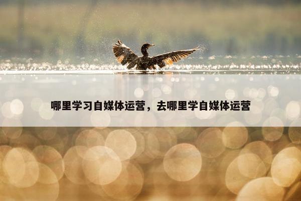 哪里学习自媒体运营，去哪里学自媒体运营
