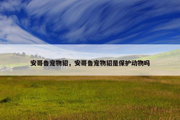 安哥鲁宠物貂，安哥鲁宠物貂是保护动物吗