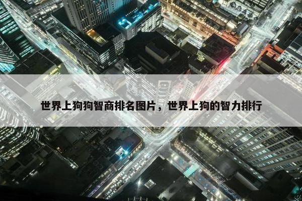 世界上狗狗智商排名图片，世界上狗的智力排行