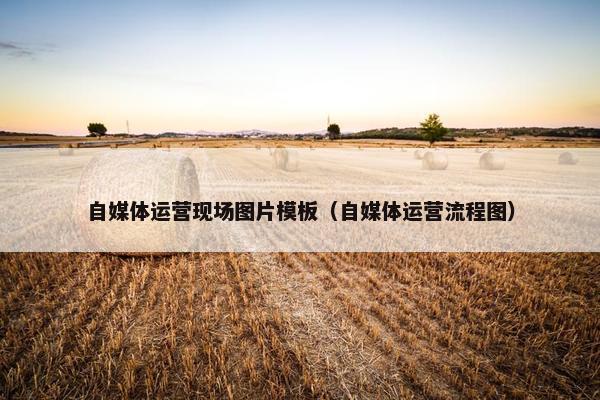 自媒体运营现场图片模板（自媒体运营流程图）