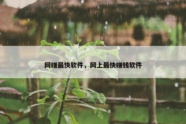 网赚最快软件，网上最快赚钱软件