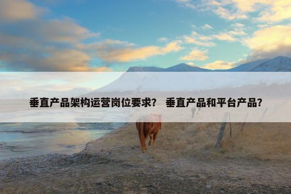 垂直产品架构运营岗位要求？ 垂直产品和平台产品？