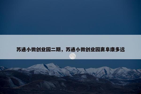 苏通小微创业园二期，苏通小微创业园离阜康多远