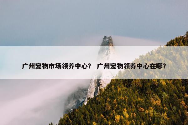 广州宠物市场领养中心？ 广州宠物领养中心在哪？