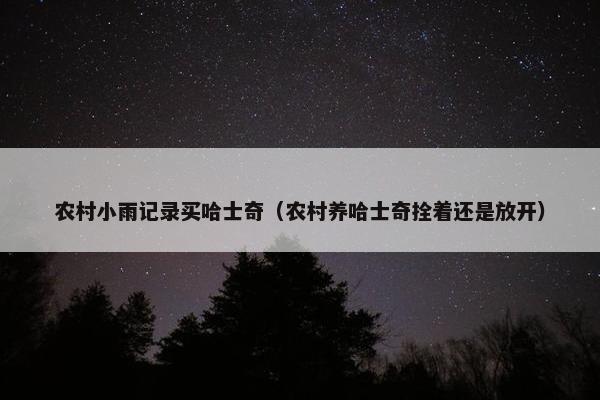 农村小雨记录买哈士奇（农村养哈士奇拴着还是放开）