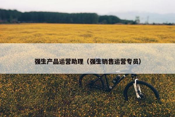 强生产品运营助理（强生销售运营专员）