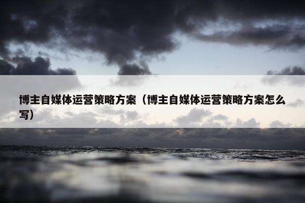 博主自媒体运营策略方案（博主自媒体运营策略方案怎么写）