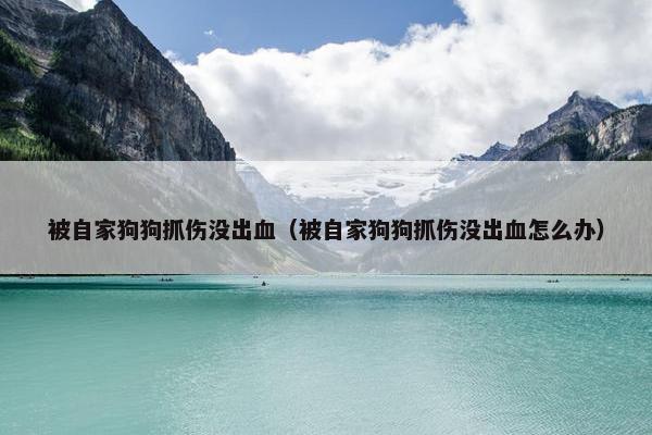 被自家狗狗抓伤没出血（被自家狗狗抓伤没出血怎么办）