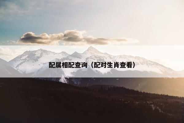 配属相配查询（配对生肖查看）
