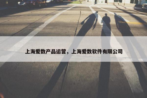 上海爱数产品运营，上海爱数软件有限公司