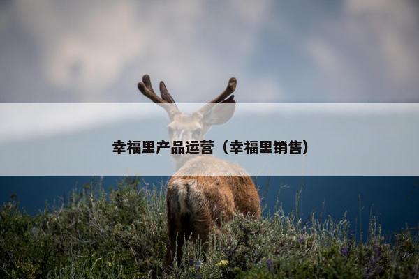 幸福里产品运营（幸福里销售）
