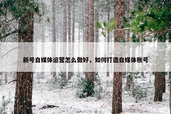 新号自媒体运营怎么做好，如何打造自媒体账号