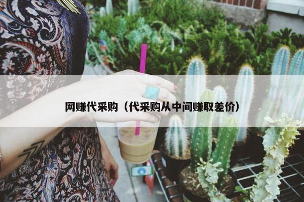 网赚代采购（代采购从中间赚取差价）