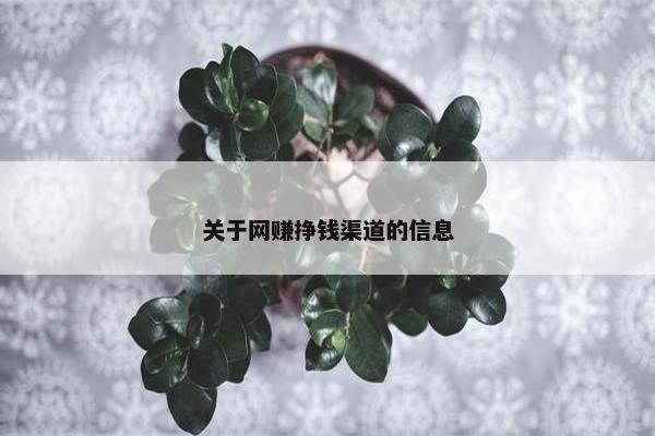 关于网赚挣钱渠道的信息