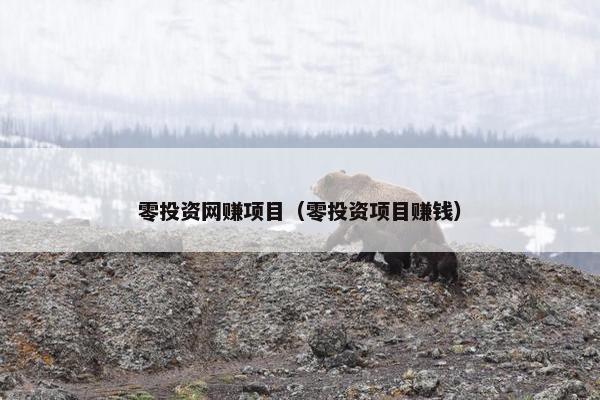 零投资网赚项目（零投资项目赚钱）
