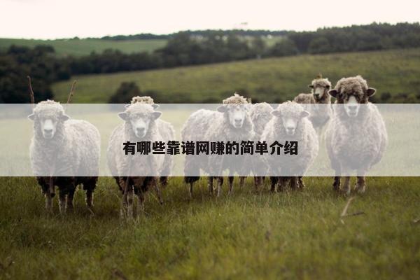 有哪些靠谱网赚的简单介绍