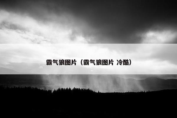 霸气狼图片（霸气狼图片 冷酷）