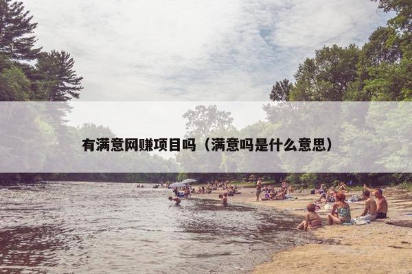 有满意网赚项目吗（满意吗是什么意思）
