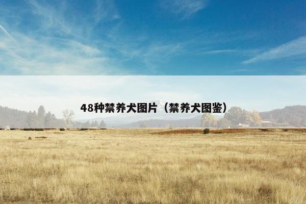 48种禁养犬图片（禁养犬图鉴）