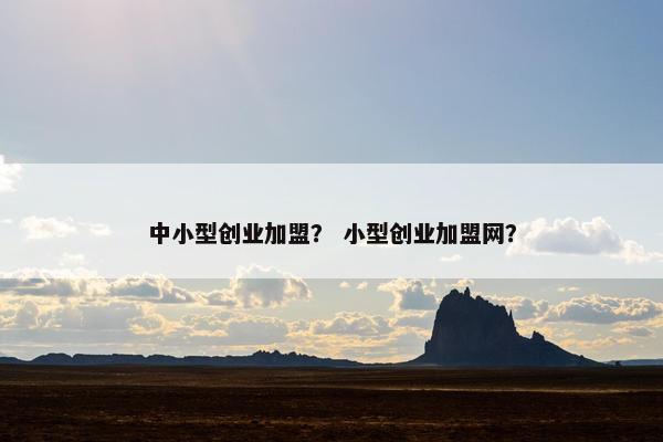 中小型创业加盟？ 小型创业加盟网？