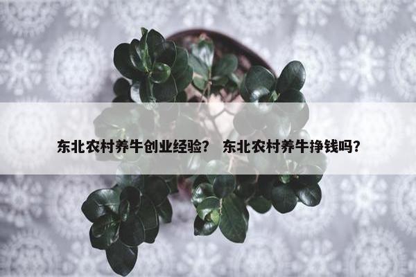 东北农村养牛创业经验？ 东北农村养牛挣钱吗？