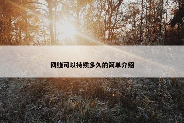 网赚可以持续多久的简单介绍