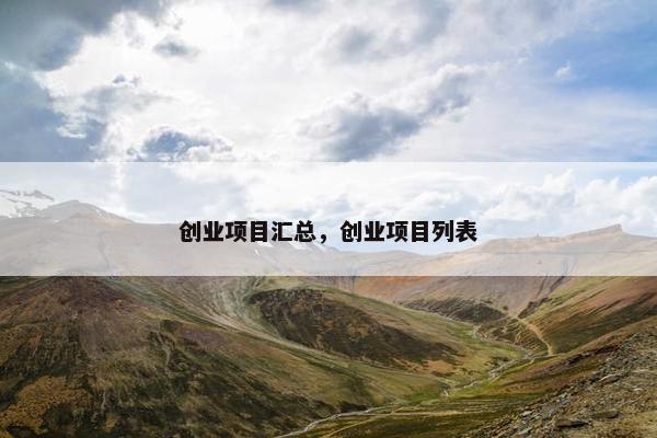 创业项目汇总，创业项目列表