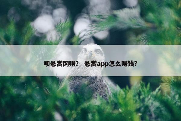 呗悬赏网赚？ 悬赏app怎么赚钱？