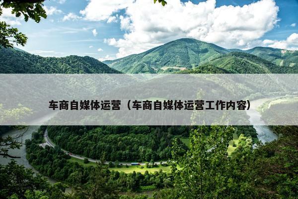 车商自媒体运营（车商自媒体运营工作内容）