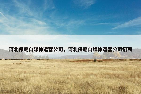 河北保底自媒体运营公司，河北保底自媒体运营公司招聘