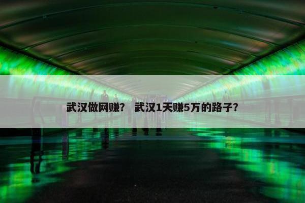 武汉做网赚？ 武汉1天赚5万的路子？