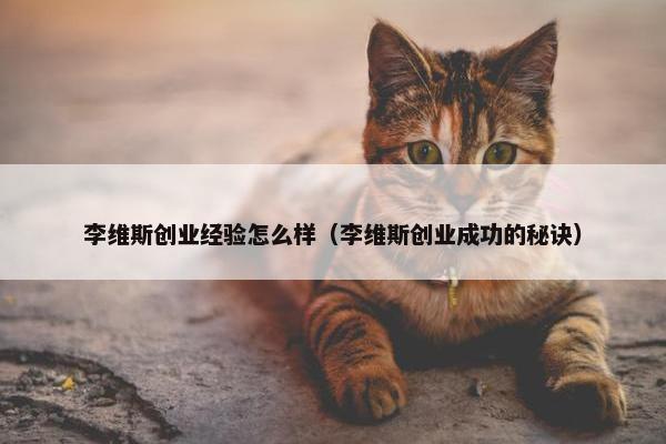 李维斯创业经验怎么样（李维斯创业成功的秘诀）