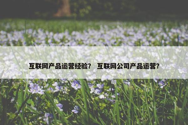 互联网产品运营经验？ 互联网公司产品运营？