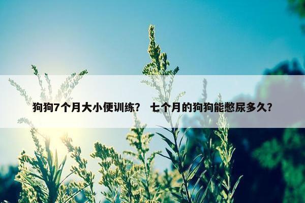 狗狗7个月大小便训练？ 七个月的狗狗能憋尿多久？