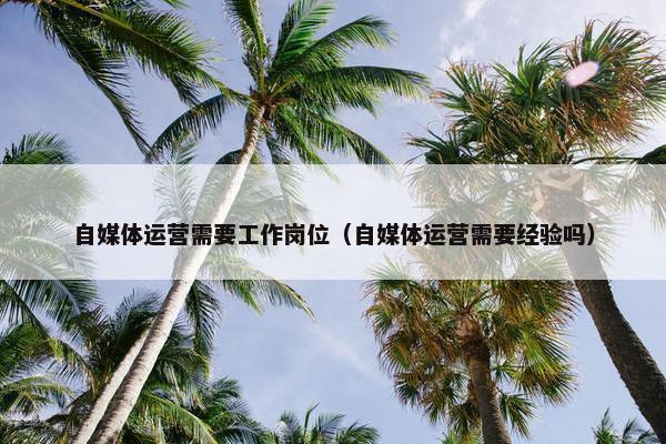 自媒体运营需要工作岗位（自媒体运营需要经验吗）