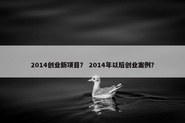 2014创业新项目？ 2014年以后创业案例？