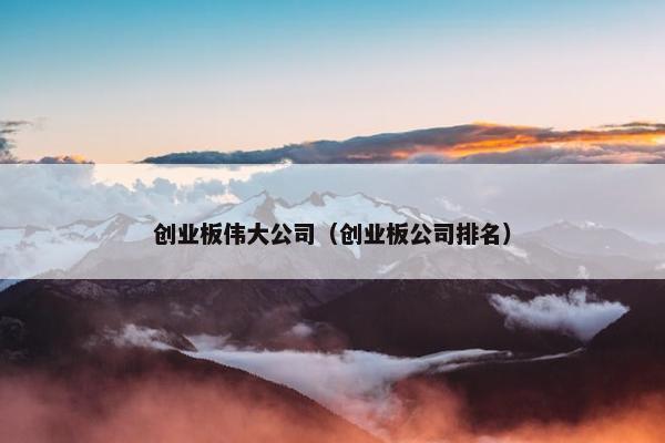 创业板伟大公司（创业板公司排名）