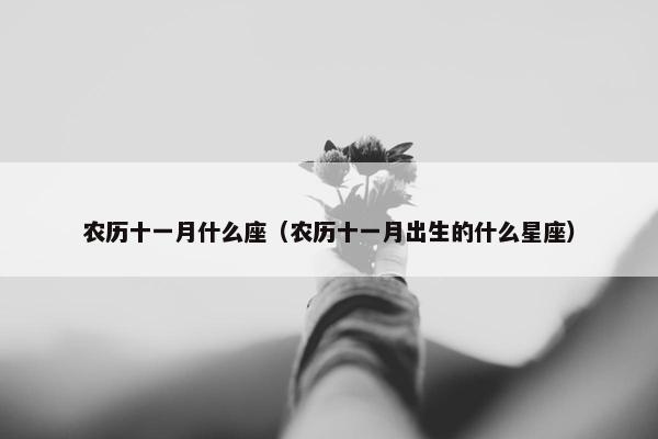 农历十一月什么座（农历十一月出生的什么星座）