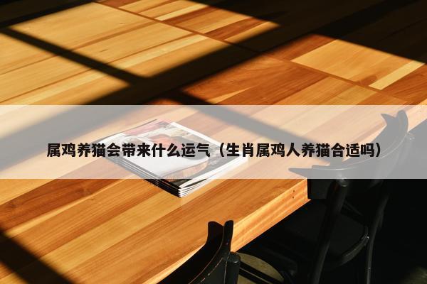 属鸡养猫会带来什么运气（生肖属鸡人养猫合适吗）