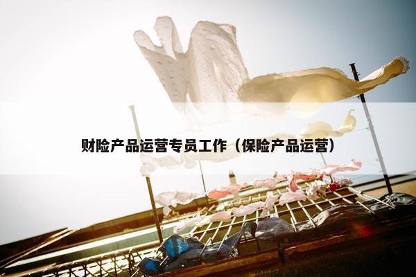 财险产品运营专员工作（保险产品运营）
