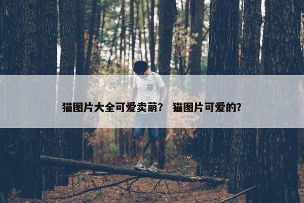 猫图片大全可爱卖萌？ 猫图片可爱的？