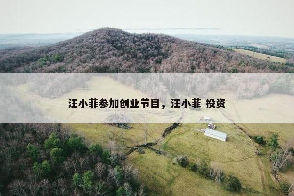 汪小菲参加创业节目，汪小菲 投资