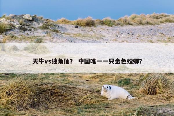 天牛vs独角仙？ 中国唯一一只金色螳螂？