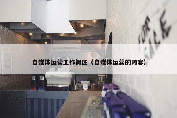 自媒体运营工作概述（自媒体运营的内容）