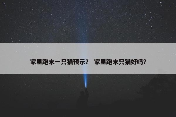 家里跑来一只猫预示？ 家里跑来只猫好吗？