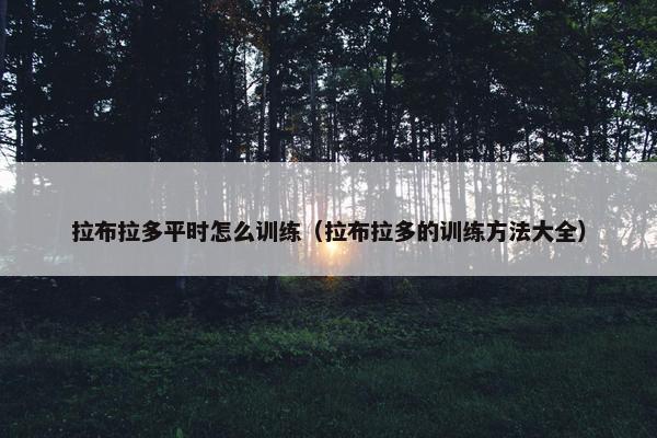拉布拉多平时怎么训练（拉布拉多的训练方法大全）